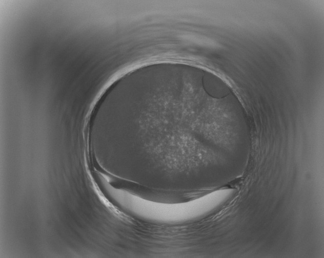 X0000082721515200702161828