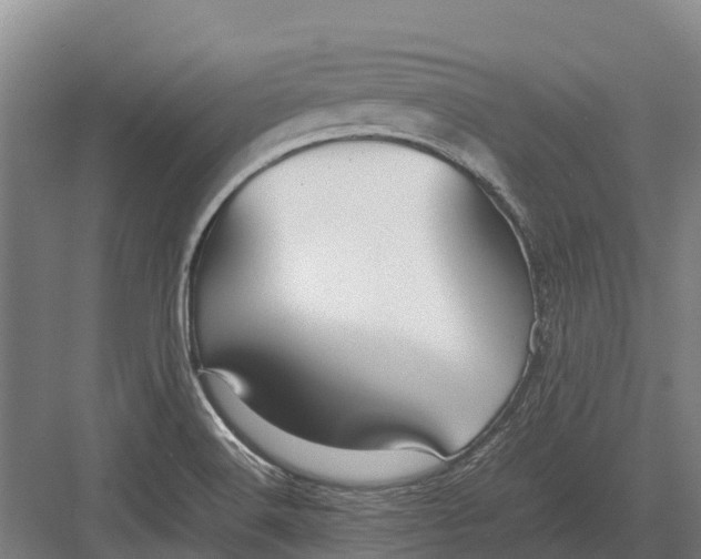 X0000082721516200702161828