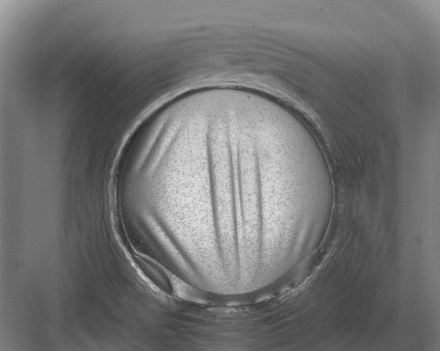 X0000082721517200702161828