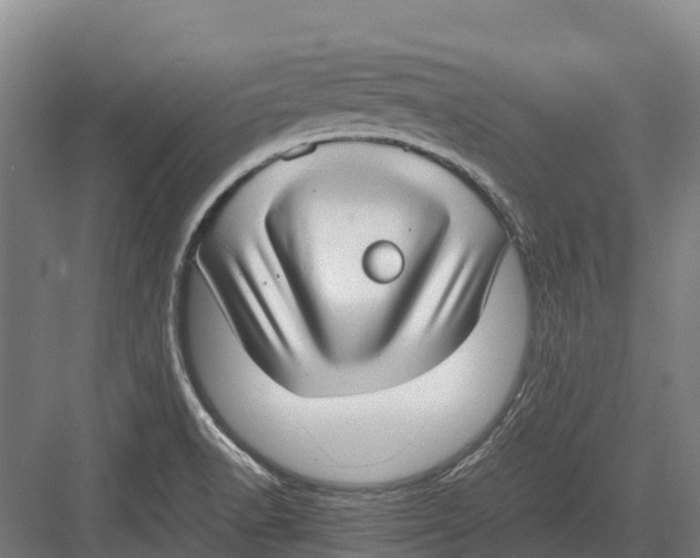 X0000082721518200702161828