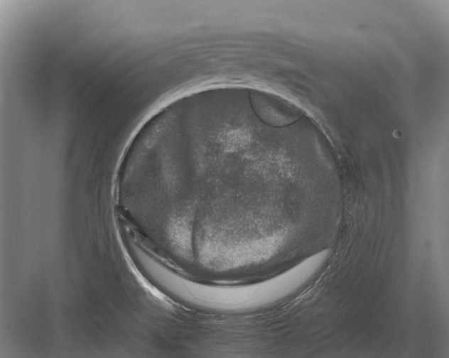 X0000082721519200702161828