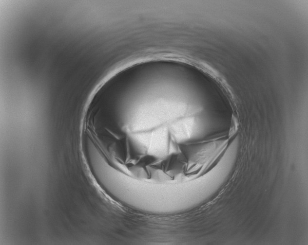 X0000082721520200702161828