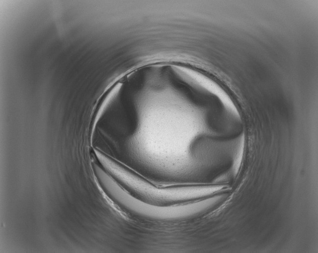 X0000082721521200702161828