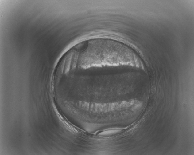 X0000082721522200702161828