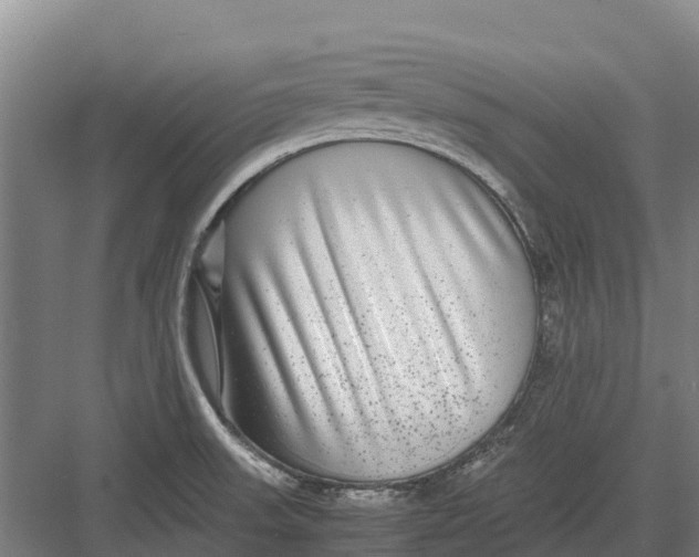 X0000082721523200702161828