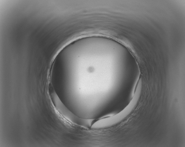 X0000082721524200702161828