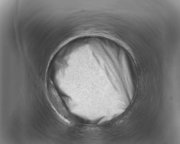 X0000082721525200702161828