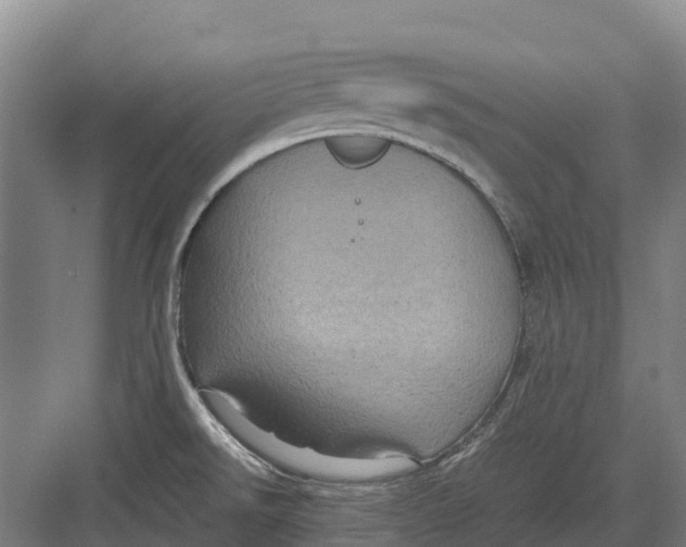 X0000082721526200702161828