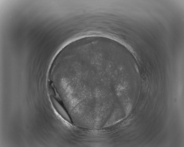 X0000082721527200702161828