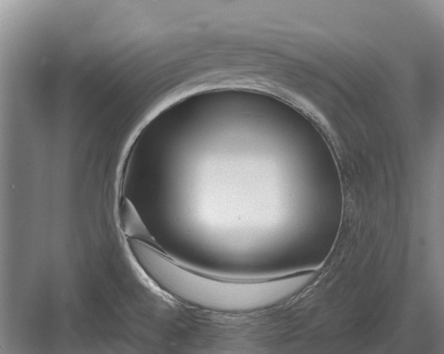 X0000082721528200702161828