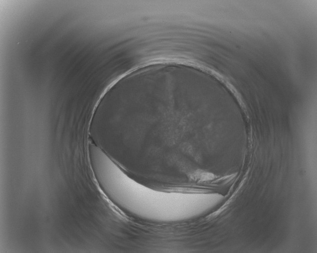 X0000082721529200702161828