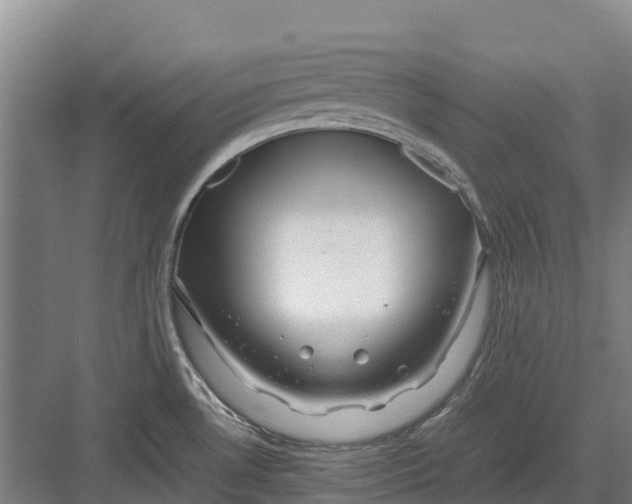 X0000082721530200702161828