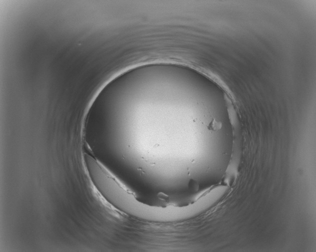 X0000082721532200702161828