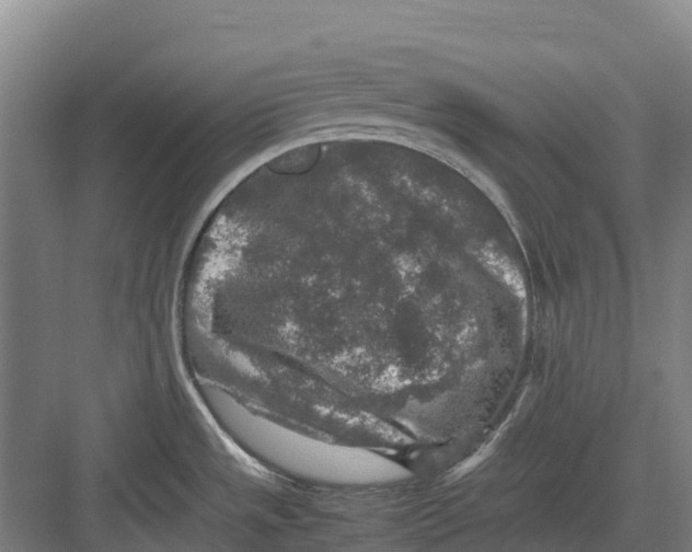 X0000082721533200702161828