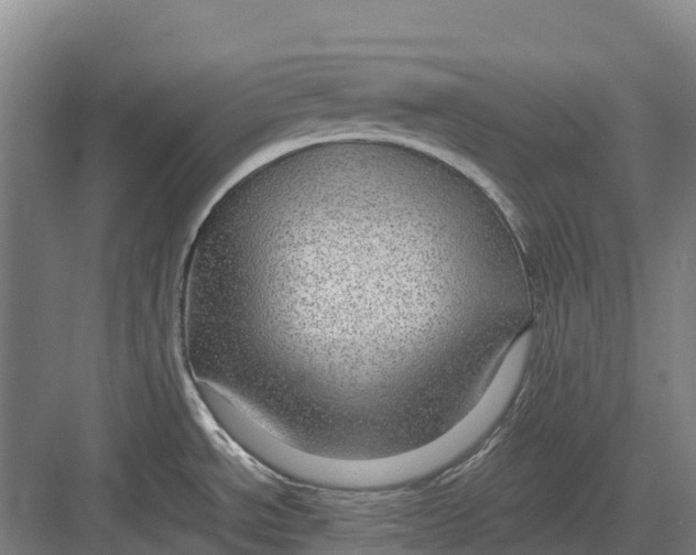 X0000082721534200702161828