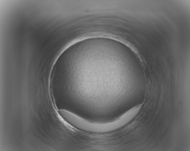 X0000082721535200702161828