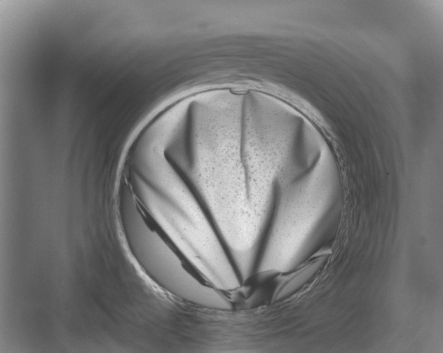 X0000082721536200702161828