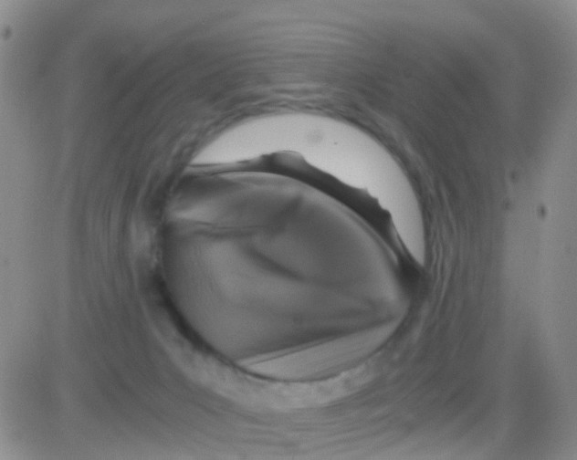X0000082720031200702232333