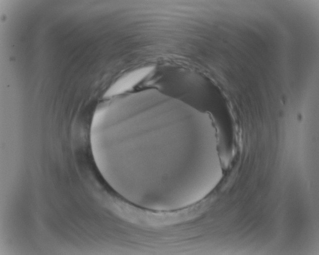 X0000082720039200702232333