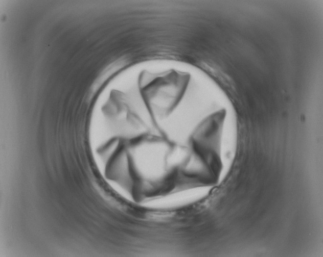 X0000082720051200702232332