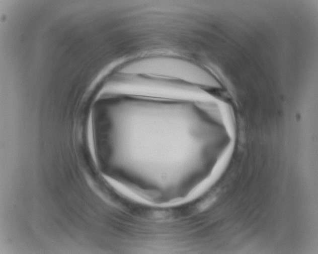X0000082720060200702232332