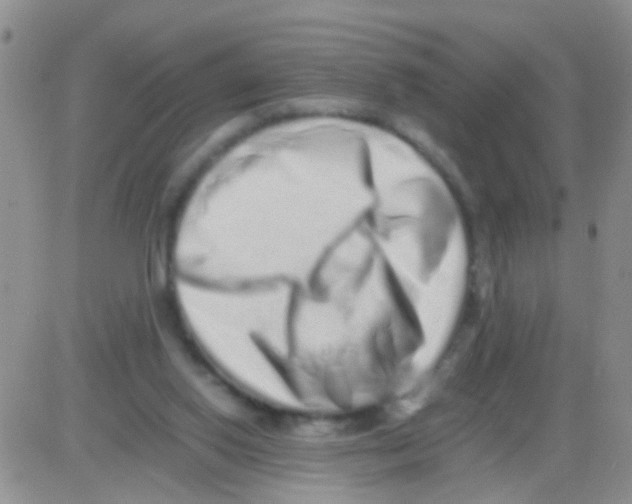 X0000082720062200702232332