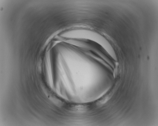 X0000082720064200702232332