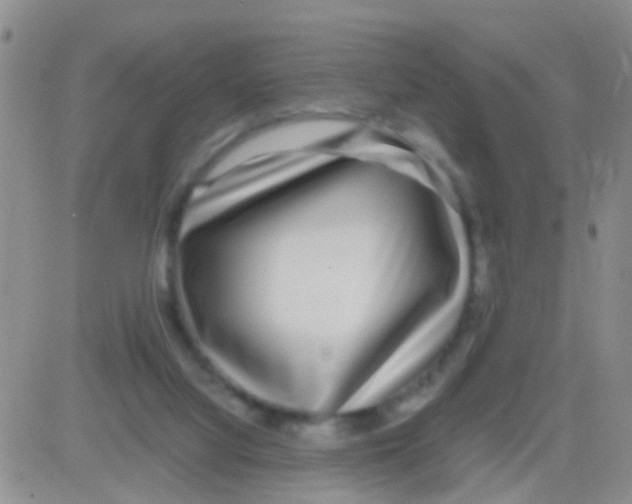 X0000082720068200702232332