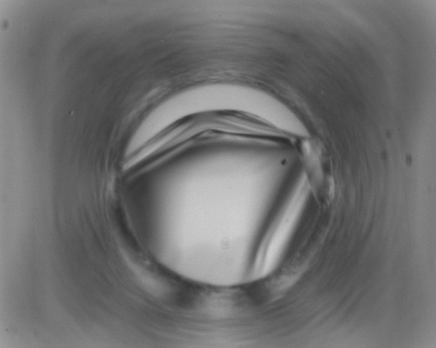 X0000082720072200702232332