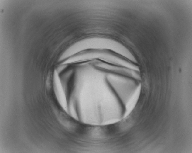 X0000082720074200702232332
