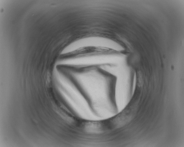 X0000082720077200702232332