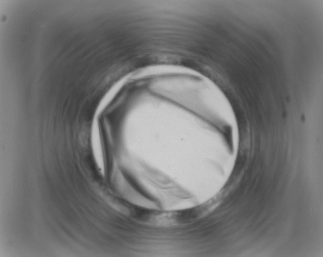 X0000082720078200702232332