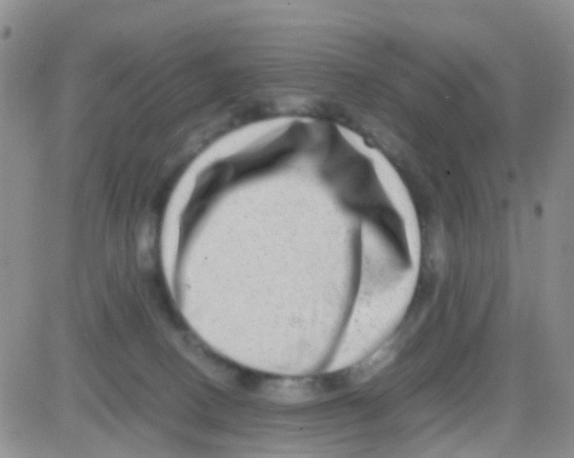 X0000082720082200702232332