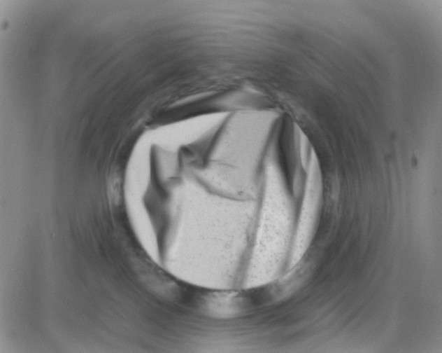 X0000082720090200702232332
