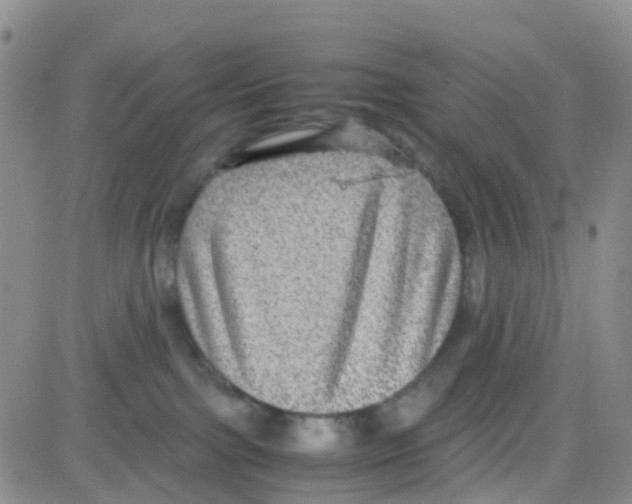 X0000082720091200702232332