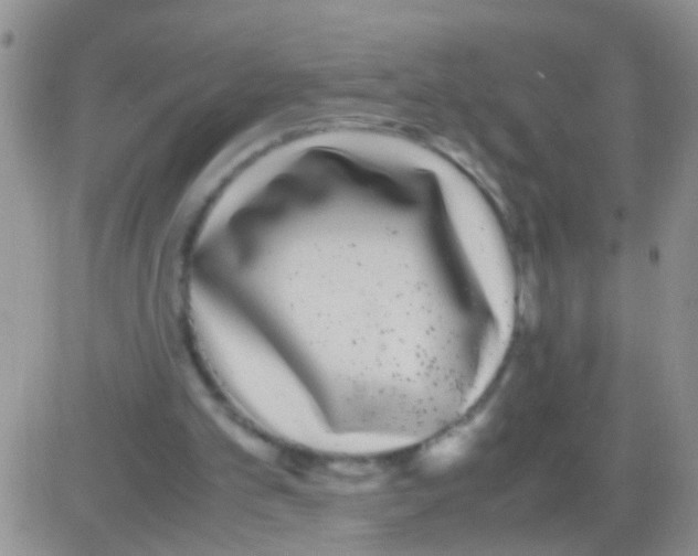 X0000082720101200702232332