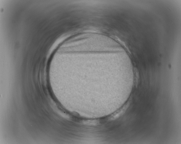 X0000082720102200702232332