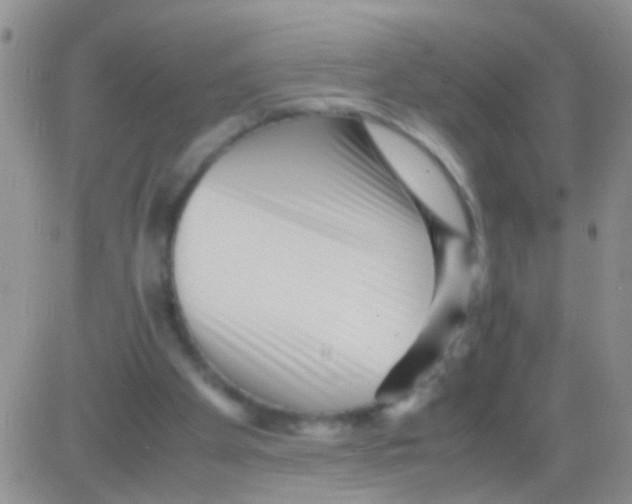 X0000082720105200702232332