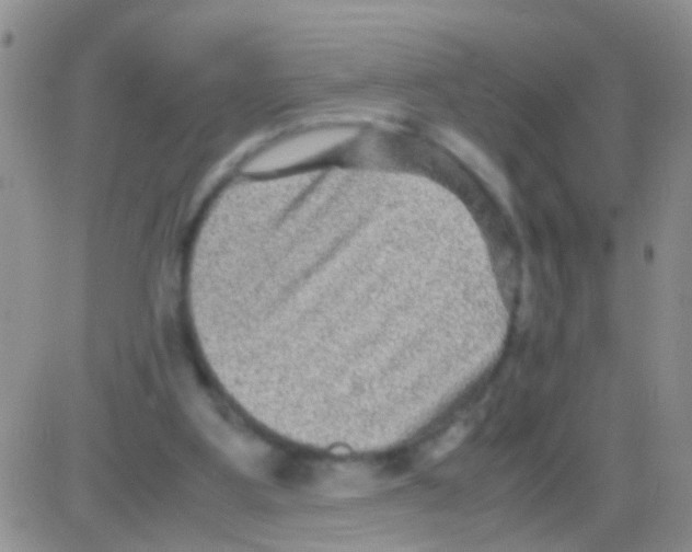 X0000082720107200702232332