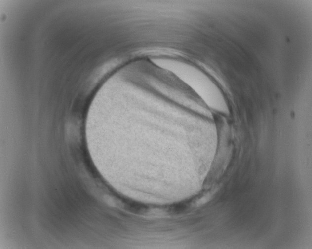 X0000082720111200702232332