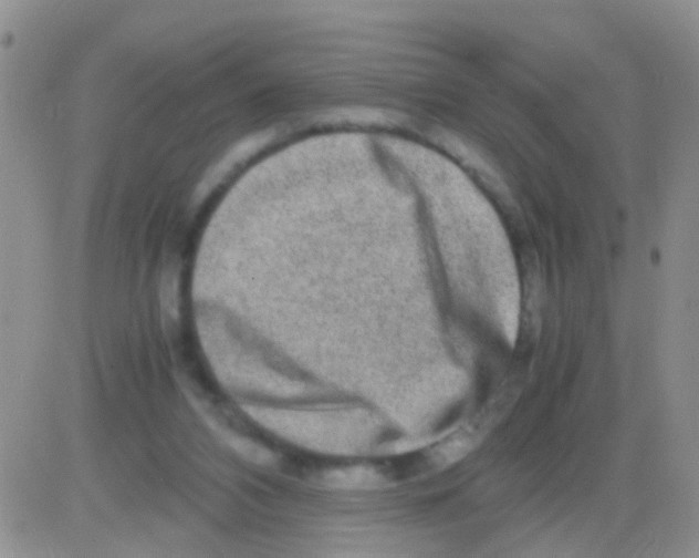 X0000082720112200702232331