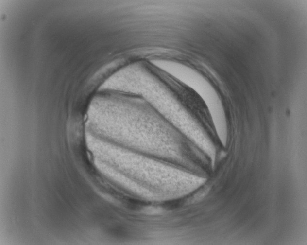 X0000082720119200702232331