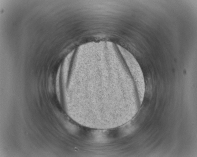 X0000082720136200702232331