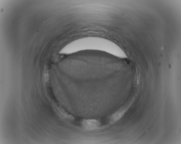 X0000082720137200702232331