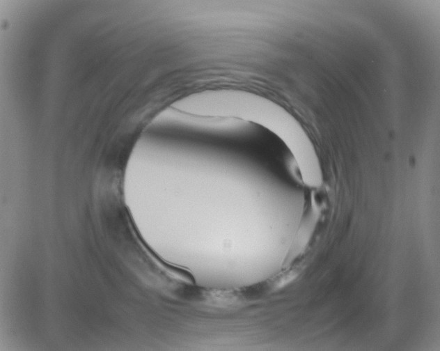 X0000082720141200702232331