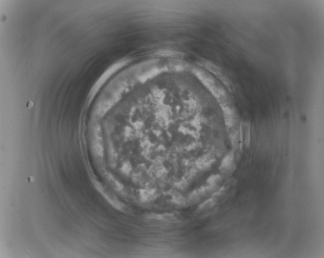 X0000082720147200702232330