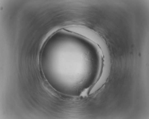 X0000082720148200702232330