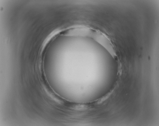 X0000082720152200702232330