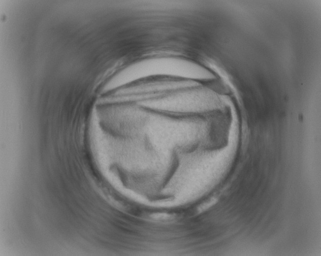 X0000082720153200702232330