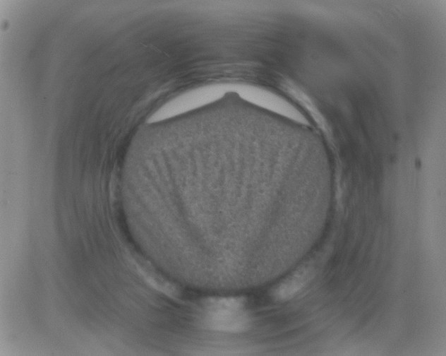 X0000082720161200702232330